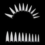 Stileto 8$ 1 họp (1)